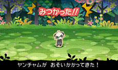 画像集#008のサムネイル/「とうぞくと1000びきのポケモン」,ゲームの流れや攻略に関するアドバイスなど,新情報を一挙紹介