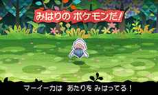 画像集#009のサムネイル/「とうぞくと1000びきのポケモン」,ゲームの流れや攻略に関するアドバイスなど,新情報を一挙紹介