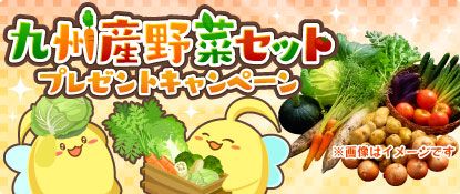 画像集 No.001のサムネイル画像 / 「ハッピーベジフル」で九州産野菜セットが当たるキャンペーン開催