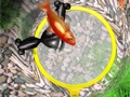 手のひらで涼しい遊びを。スマホ向けアクションゲーム「桜金魚すくい」を紹介する「(ほぼ)日刊スマホゲーム通信」第612回