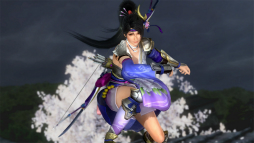  No.029Υͥ / DEAD OR ALIVE 5 Last Round̵ФΥ饯ˤʤ꤭륳ܥ塼ۿ