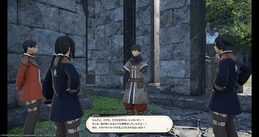  No.013Υͥ / ڿͤäƺ٤ϥ쥭κӤءFFXIVŷΥ奬ɡפΥѥå3.2ľľᥤ󥿥ӥ塼