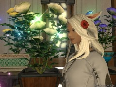 「ファイナルファンタジーXIV」パッチ3.3「最期の咆哮」の最新情報が公開。新たに実装されるコンテンツをおさらいしよう