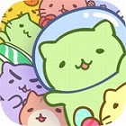 みっちりねこ くらいしす