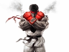 カプコンの作品が最大60%OFFで購入できる「CAPCOM SUMMER SALE!」開催。PS4用ソフト「ストリートファイターV」など,計25作品が対象