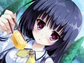 PS Vita向け「Friend to Lover 〜フレラバ〜」が2015年3月26日に発売。彼女に選んだヒロインと,思う存分イチャイチャできる恋愛アドベンチャー