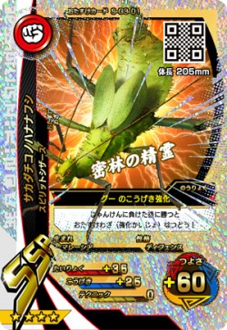 画像集 No.003のサムネイル画像 / 「新甲虫王者ムシキング 激闘3弾」が稼動開始。新Vガジェ「嵐」と「砂漠」が登場