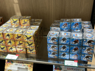 画像集 No.006のサムネイル画像 / 「甲虫王者ムシキング 20周年記念 POP UP SHOP in OIOI」マルイシティ横浜にて開催。かつて共に闘った甲虫たちと再会しよう!
