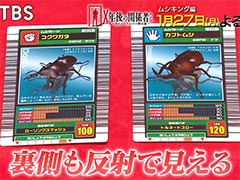 一大ムーブメントを巻き起こした「甲虫王者ムシキング」の光と闇を紐解く特集番組,BS-TBS「X年後の関係者たち」で1月27日に放送