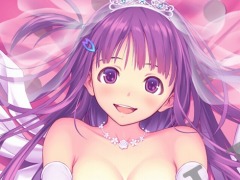 100種類以上のDLCと特別スリーブが封入された「VALKYRIE DRIVE -BHIKKHUNI- Bikini Party Edition」が2017年1月12日に発売決定