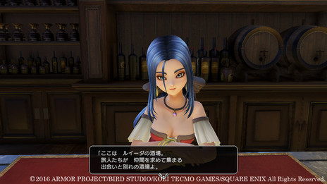 画像集 No.006のサムネイル画像 / 「ドラゴンクエストヒーローズII」,主人公の拠点となるゼビオンの城下町やさまざまな冒険フィールドの情報が公開