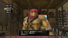 画像集 No.012のサムネイル画像 / 「ドラゴンクエストヒーローズII」過酷な環境下に置かれた4つの新フィールドが公開。プレイヤーがお世話になる施設の詳細も