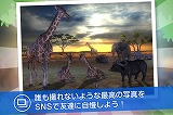 リアルサファリ 動物をさがそう