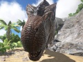 ハロー!Steam広場 第73回:恐竜達の楽園で,お先真っ暗な新生活がスタート。サバイバルゲーム「ARK: Survival Evolved」