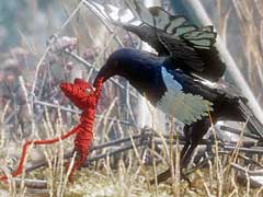 毛糸を駆使して過去を紐解く異色作「UNRAVEL」。見た目のかわいさとは裏腹に,コアゲーマーでもしっかり楽しめる良質なパズル&アクションだ