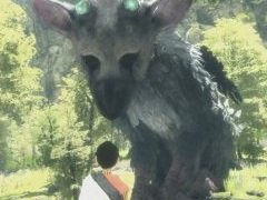 少年と大鷲の絆が,コントローラを通して感じられる。「人喰いの大鷲トリコ」をレビュー