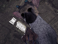 「人喰いの大鷲トリコ」の世界を体感できるPS VR向け「人喰いの大鷲トリコ VR Demo」の無料配信が本日スタート。本編の価格改定版も本日発売