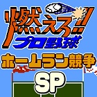 燃えろ!!プロ野球 ホームラン競争SP