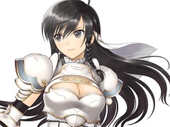「ブレードアークス from シャイニングEX」女騎士「ソニア」のバトルシーンが公開。廉価版「シャイニング・レゾナンス」は11月12日に発売決定