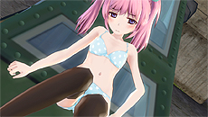 画像集 No.017のサムネイル画像 / 「バレットガールズ2」の発売に合わせてDLC第1弾が登場。シゴキがはかどる尋問アイテムや,各種キャラの早期開放権というラインナップ