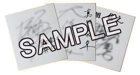 画像集 No.025のサムネイル画像 / 「戦国BASARA 真田幸村伝」は当初予定からやや前倒しの8月25日発売へ。第2弾PVや,フィギュア付きイーカプコン限定版などの情報が一挙公開