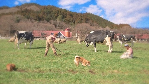 3DSҾʪ 3ĤΤڤͧپҲ2