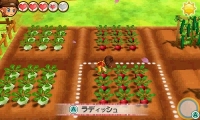 画像集 No.006のサムネイル画像 / 「牧場物語 3つの里の大切な友だち」のプレイヤーガイド第1弾が公開。牧場生活の基本となる「作物づくり」を紹介