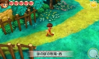 画像集 No.010のサムネイル画像 / 「牧場物語 3つの里の大切な友だち」のプレイヤーガイド第1弾が公開。牧場生活の基本となる「作物づくり」を紹介