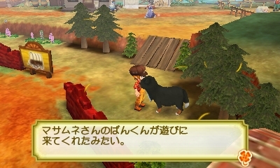 画像集 No.013のサムネイル画像 / 「牧場物語 3つの里の大切な友だち」プレイヤーガイド第3弾は「ペットとの暮らし」を紹介