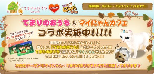 画像集 No.002のサムネイル画像 / 「マイにゃんカフェ」で猫カフェ「てまりのおうち」とのコラボイベントが開催