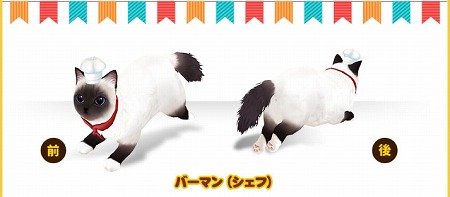 画像集 No.002のサムネイル画像 / 「マイにゃんカフェ」，ガチャイベント“コスチューム祭り”を開催