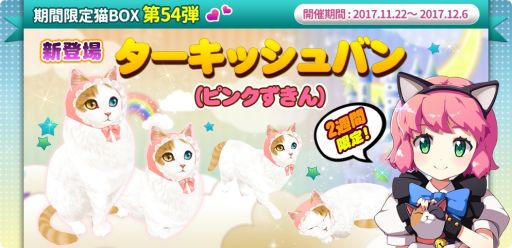 画像集 No.002のサムネイル画像 / 「マイにゃんカフェ」でさまざまなアイテムがセットになった「リバースパック」登場