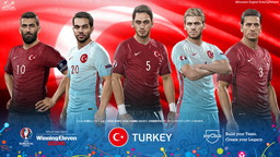  No.018Υͥ / UEFA EURO 2016 / ˥󥰥֥ 2016פȯ䡣6˳ŤUEFA EURO 2016ɤ­˳ڤ