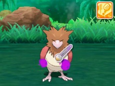画像集 No.021のサムネイル画像 / 「ポケットモンスター サン・ムーン」ポケモンをお手入れする「ポケリフレ」が登場。主人公のファッションを変更できる新機能も