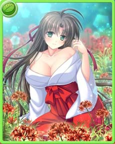 画像集 No.002のサムネイル画像 / 「神楽大戦・陽之巻」にリコリスと巫女が登場。過去の彼岸花シリーズ(SR)もピックアップ