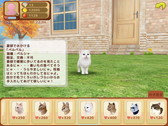 画像集 No.011のサムネイル画像 / iOS版「てのひらニャンコ」が配信開始。Android版は7月上旬のリリースを予定
