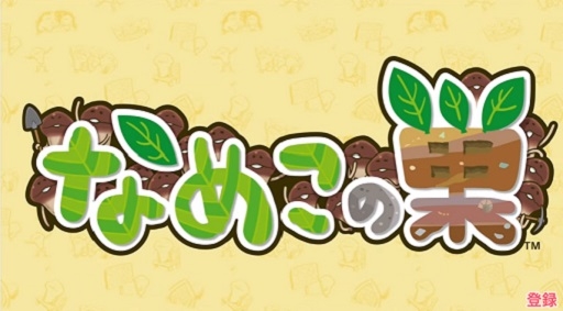 ץؤʤᤳ2016ǯ꡼ꡪ