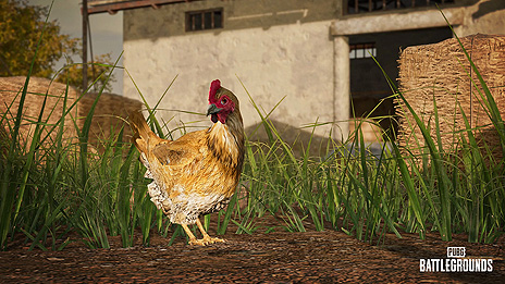 #005Υͥ/PUBG: BATTLEGROUNDSפΥåץǡ14.2»ܡǡDBNO SwimmingɡTaegoޥåפؤΡȷܡɼʤ