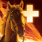 StarHorsePocket+