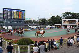 画像集 No.007のサムネイル画像 / 「Winning Post」と東京シティ競馬のコラボイベントが今年も開催。抽選会やレース観戦イベントの模様をレポート