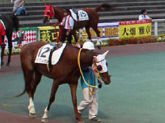 「Winning Post」と東京シティ競馬のコラボイベントが今年も開催。抽選会やレース観戦イベントの模様をレポート