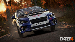  No.003Υͥ / ڥƥȤ40ʰʾϿ뿷졼󥰡DiRT 4פΥץ쥤ȥ쥤顼