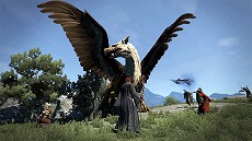 画像集 No.009のサムネイル画像 / PC/PS4/Xbox One版「ドラゴンズドグマ:ダークアリズン」の最新PVが公開に。PS4版の数量限定特典は「DDON」で使用可能な“なりきり装備”