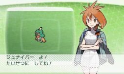 画像集 No.005のサムネイル画像 / 「ポケモンバンク」で隠れ特性を持った「ジュナイパー」「ガオガエン」「アシレーヌ」がもらえる