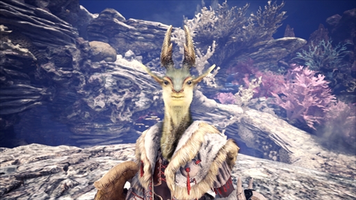 #036Υͥ/MHW: ICEBORNEפκǿޤȤ᤿֥ǥ٥åѡ꡼פ6Ƥˡ79ۿ륢åץǡȾҲ