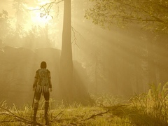 PS4「ワンダと巨像」に実装される“フォトモード”が公開。PS4 Proでは4K解像度または60fpsでのプレイに対応とスペシャルサイトに掲載