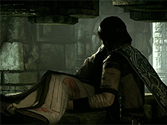 いよいよ2月8日に登場するPS4版「ワンダと巨像」,切ない物語が垣間見えるストーリートレイラーが公開