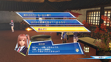 画像集 No.013のサムネイル画像 / Steam版「無双☆スターズ」の配信が本日スタート。“全員主役”の英雄バトルがPCでも楽しめるように