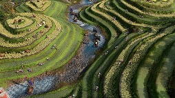 画像ギャラリー No.005のサムネイル画像 / 「Age of Empires IV」，最新DLC「岳飛の遺産」を5月7日にリリース。火薬を操る固有ユニットを持つ新文明「金王朝」が登場