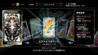 画像集 No.022のサムネイル画像 / 「ドラゴンズクラウン・プロ」,プレイヤーが操るキャラクター6人やスキルの特徴を紹介する第2報を掲載